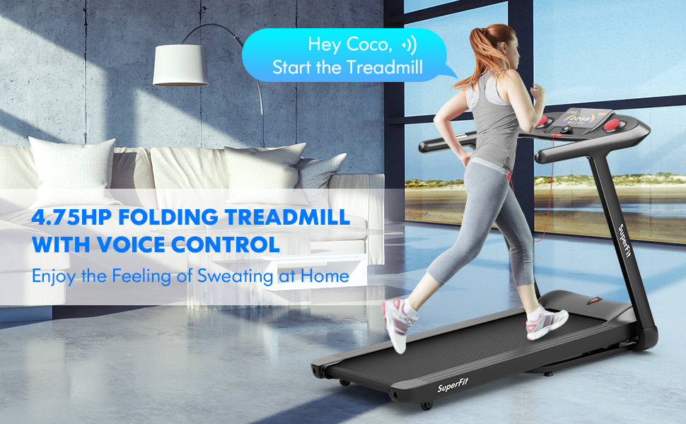 treadmill